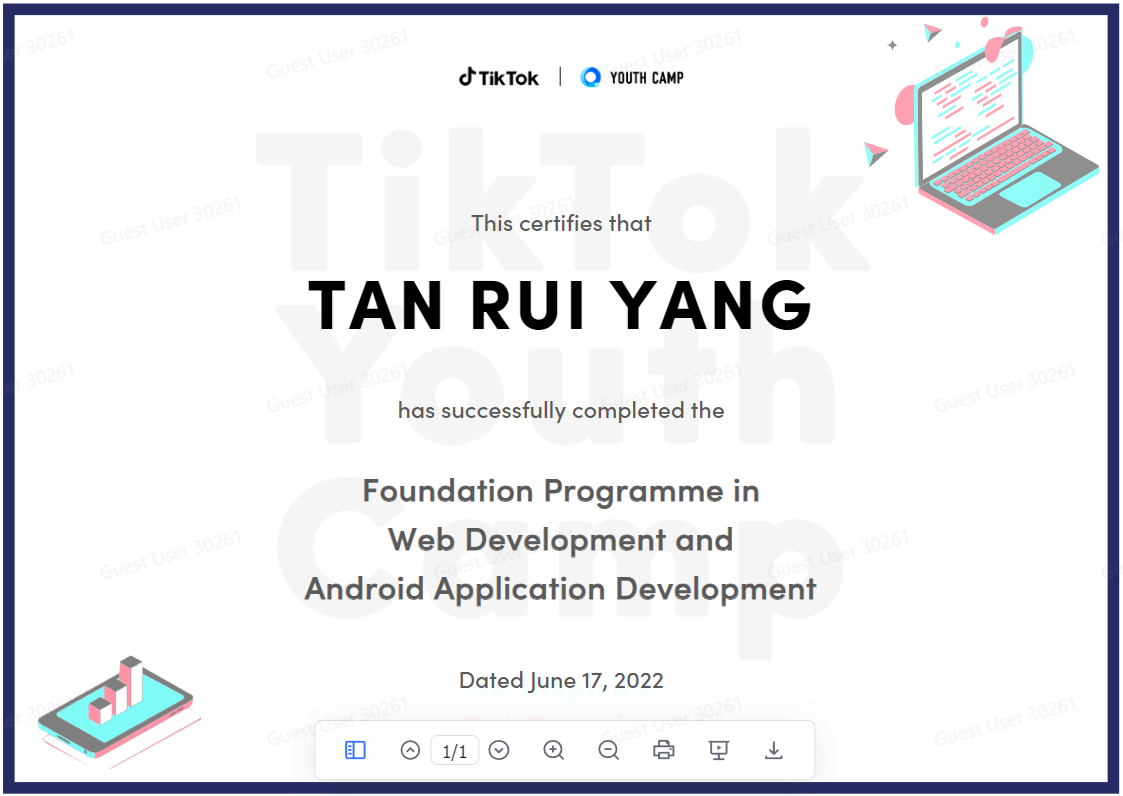 Tiktok Youth Camp Foundation